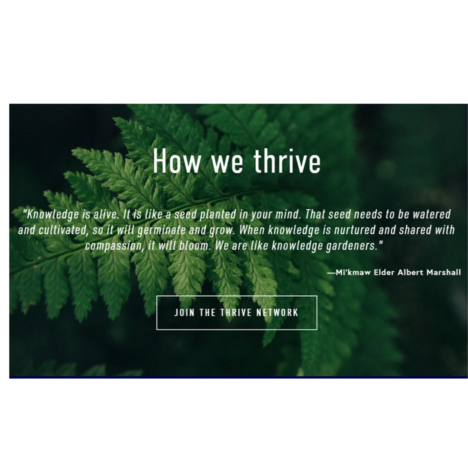 Webinaire : Refuge, recréation et résilience avec How We Thrive